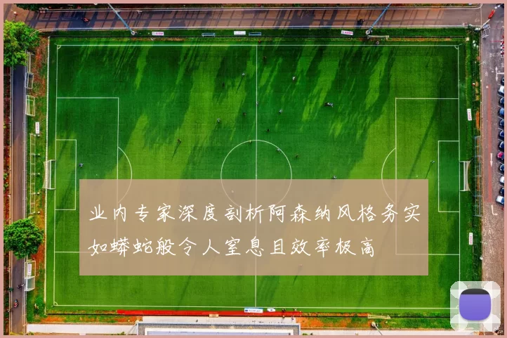 业内专家深度剖析阿森纳风格务实如蟒蛇般令人窒息且效率极高
