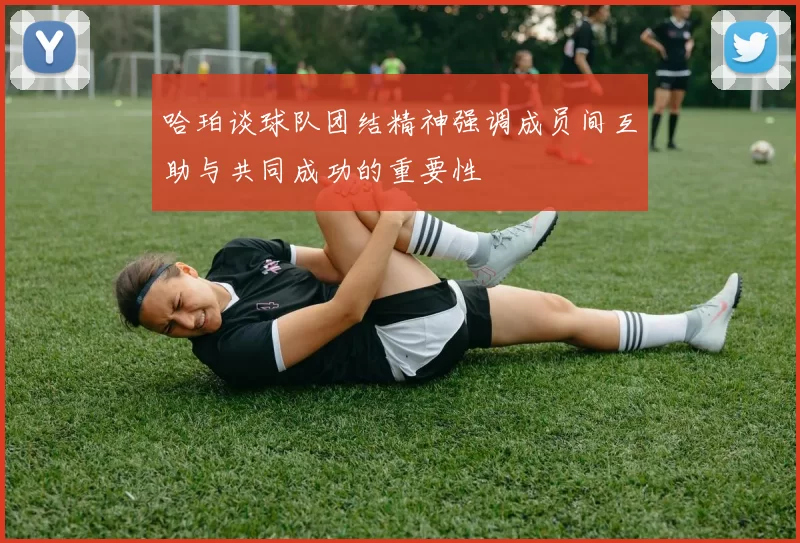 哈珀谈球队团结精神强调成员间互助与共同成功的重要性