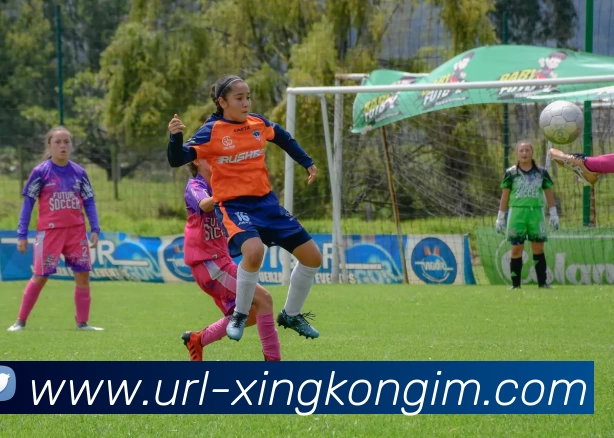 多媒体互动体验