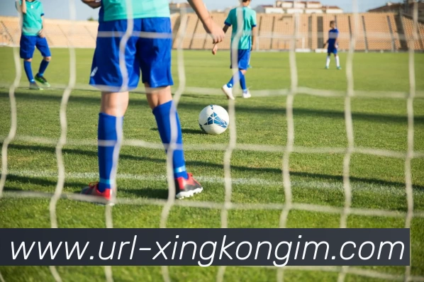 星空体育APP 高清赛事图